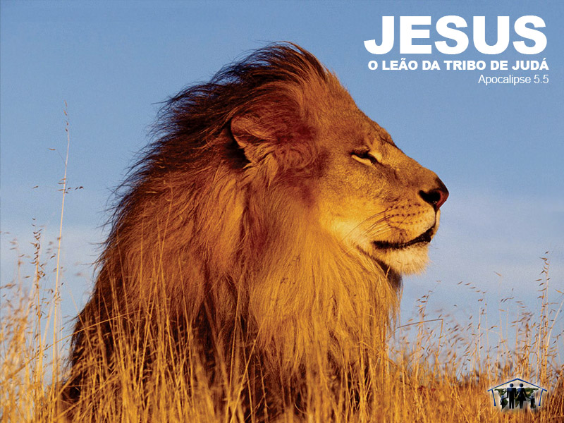 Lion Of Judah Christian Wallpaper Free Download - Leao Da Tribo De Juda Papel De Parede - HD Wallpaper 