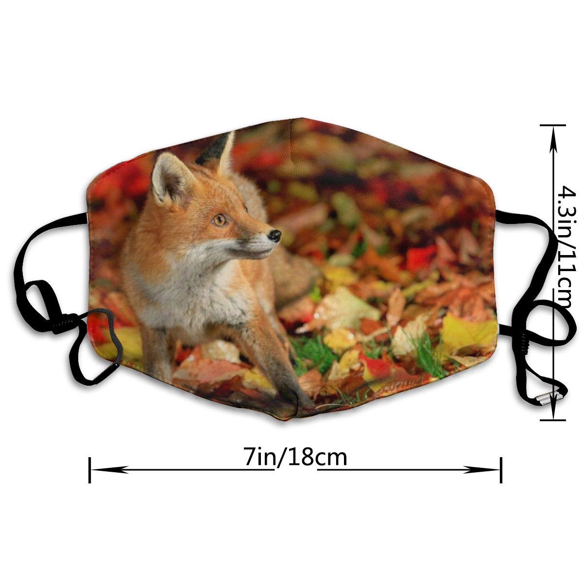 Red Wolf - HD Wallpaper 