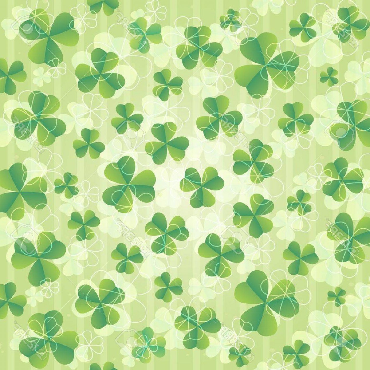Shamrock - HD Wallpaper 