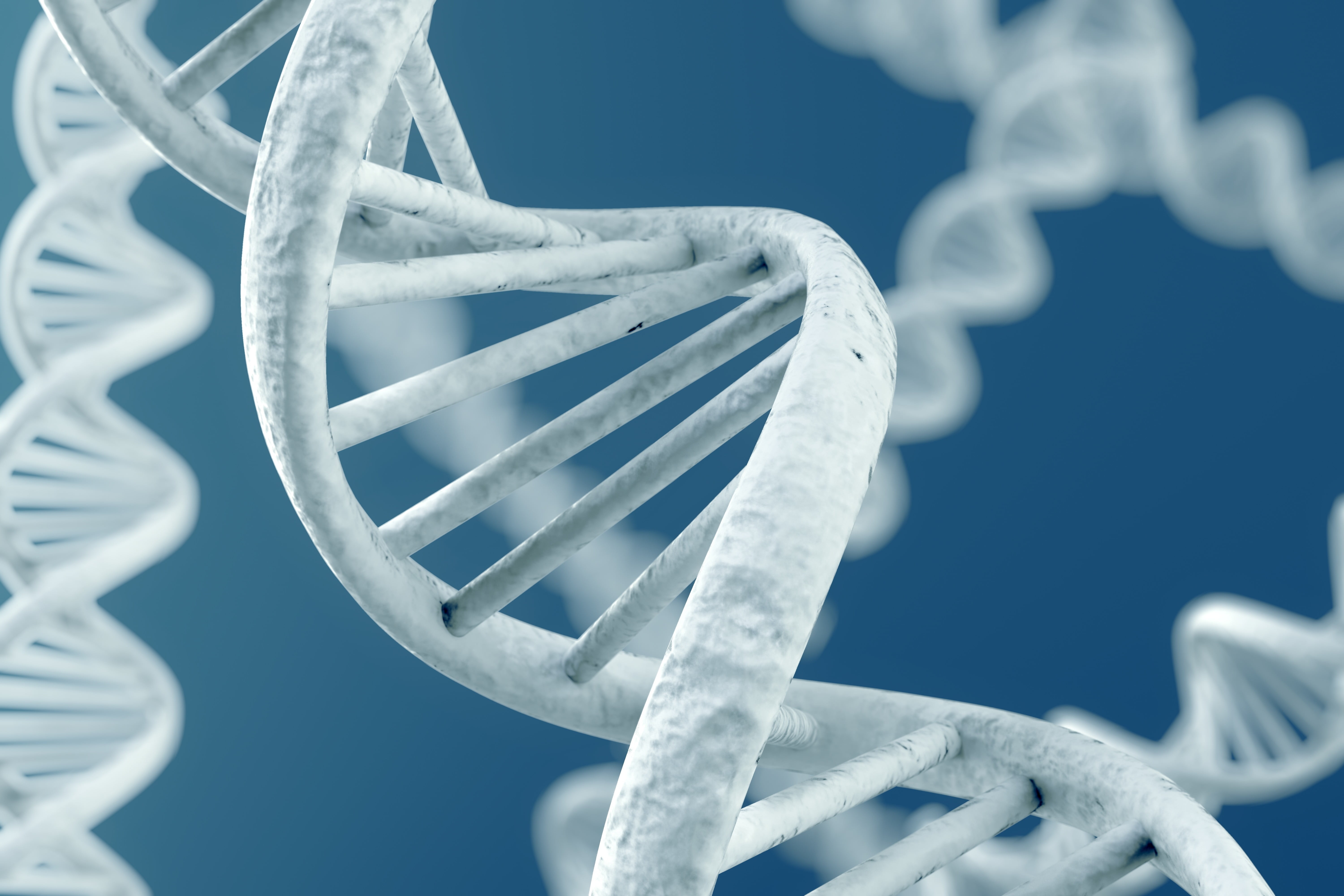 Genetics Related - HD Wallpaper 