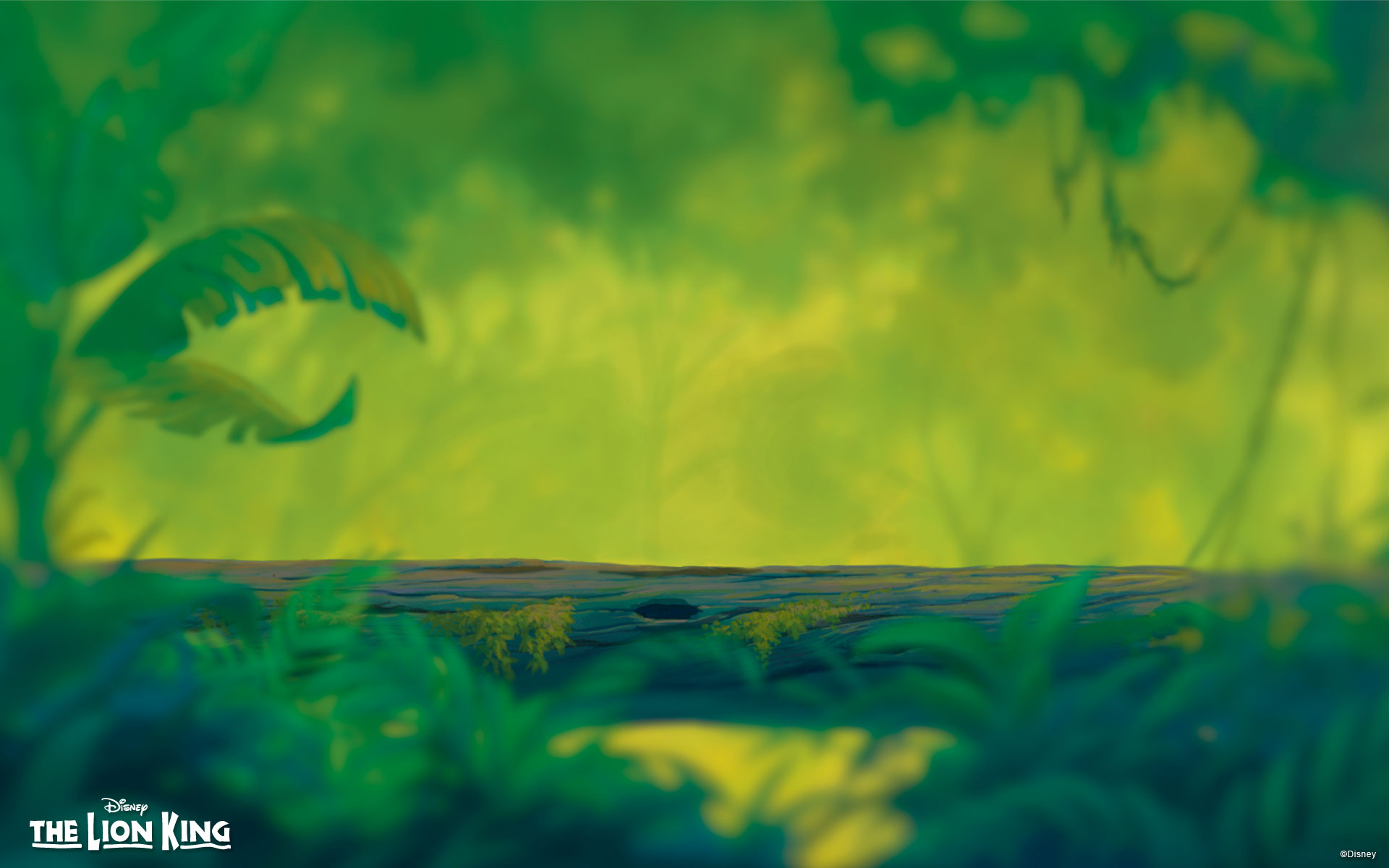 Walt Disney Achtergronden - Jungle Lion King Background - HD Wallpaper 