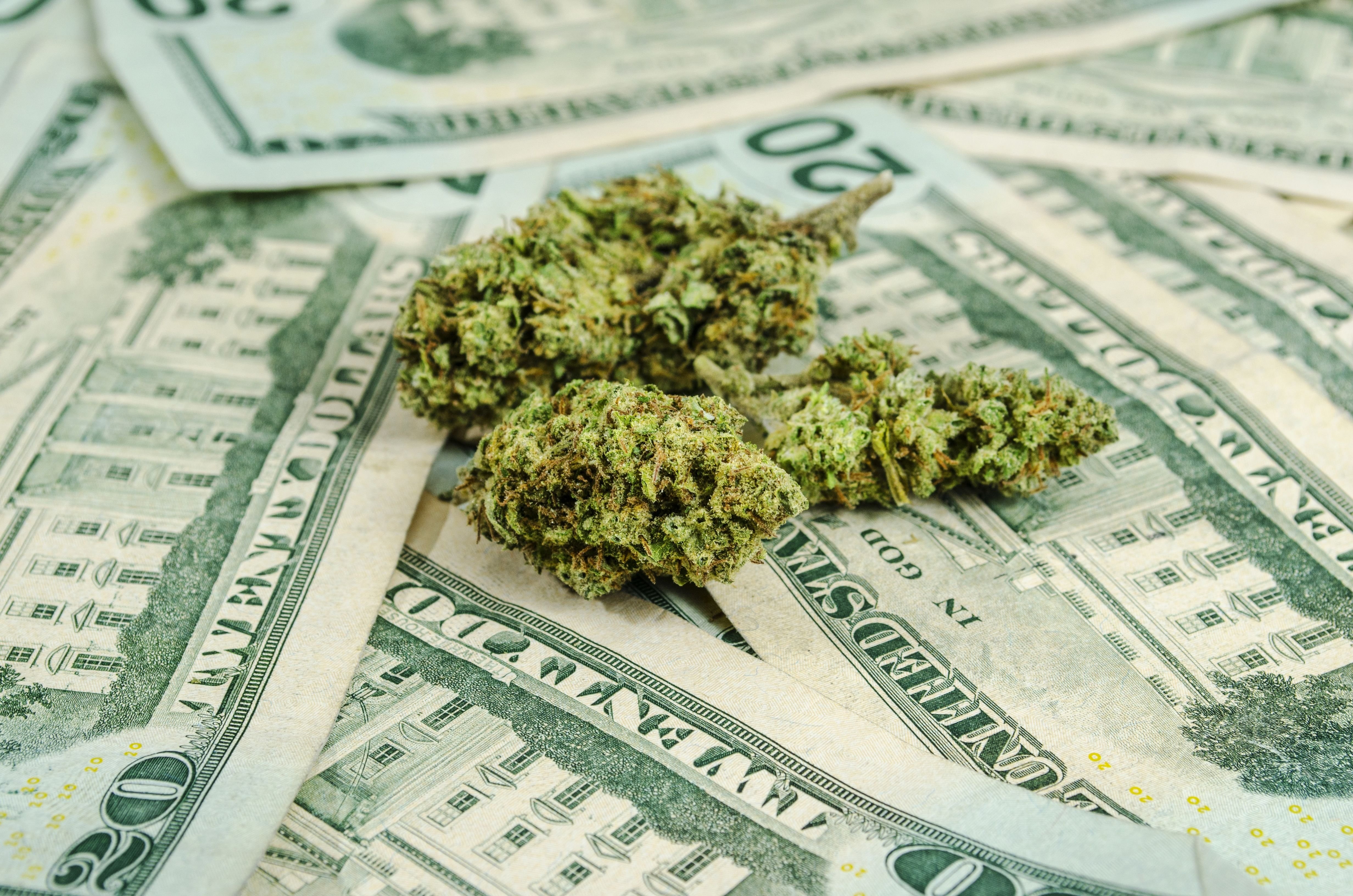 Mary,freemarijuana, Display, Nature Wallpapers, Mother - Weed And Money Wallpaper Hd - HD Wallpaper 