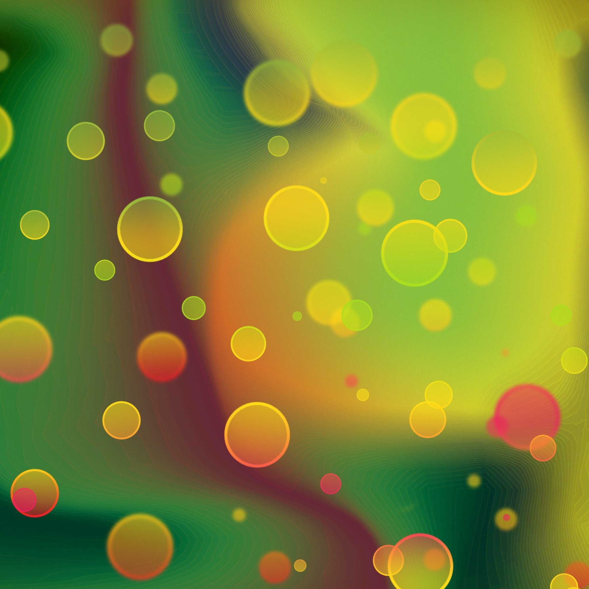 Colorful Circles - HD Wallpaper 