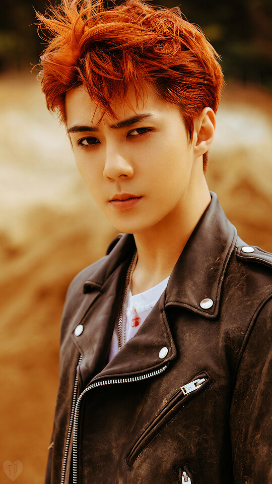 Sehun Don T Mess Up My Tempo - HD Wallpaper 