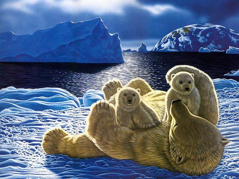 3d Beer Wallpaper - Animated Winter Time Bears - HD Wallpaper 