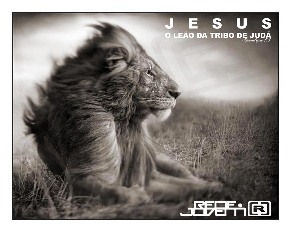 Calm In The Middle Of Storm - HD Wallpaper 