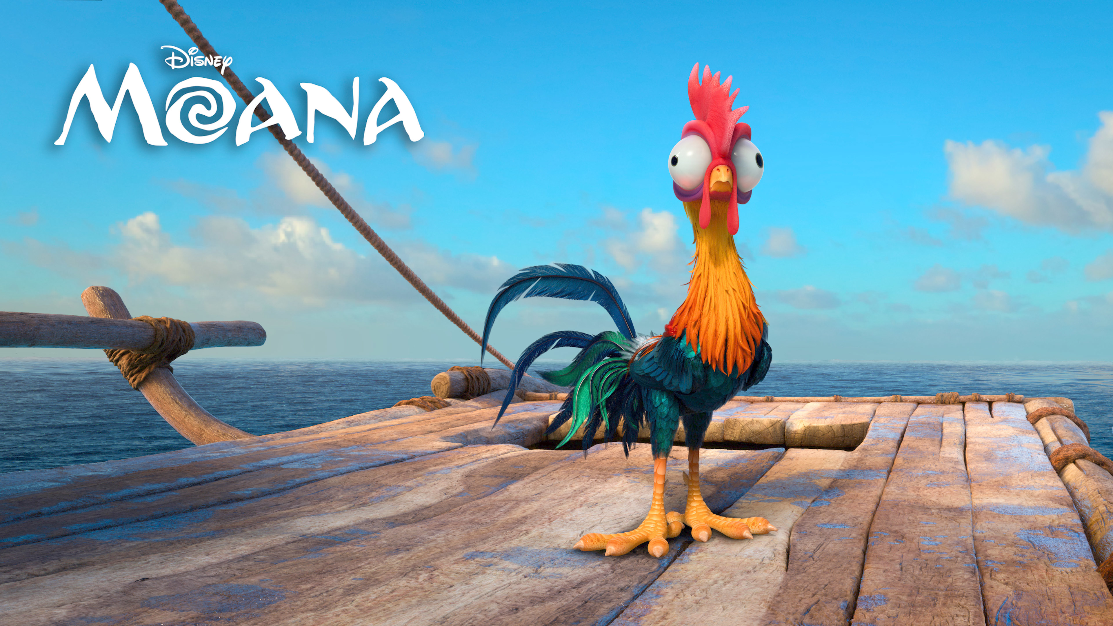 Heihei Moana 4k 
 Data Src Download Moana Movie Wallpapers - Moana And Hei Hei - HD Wallpaper 