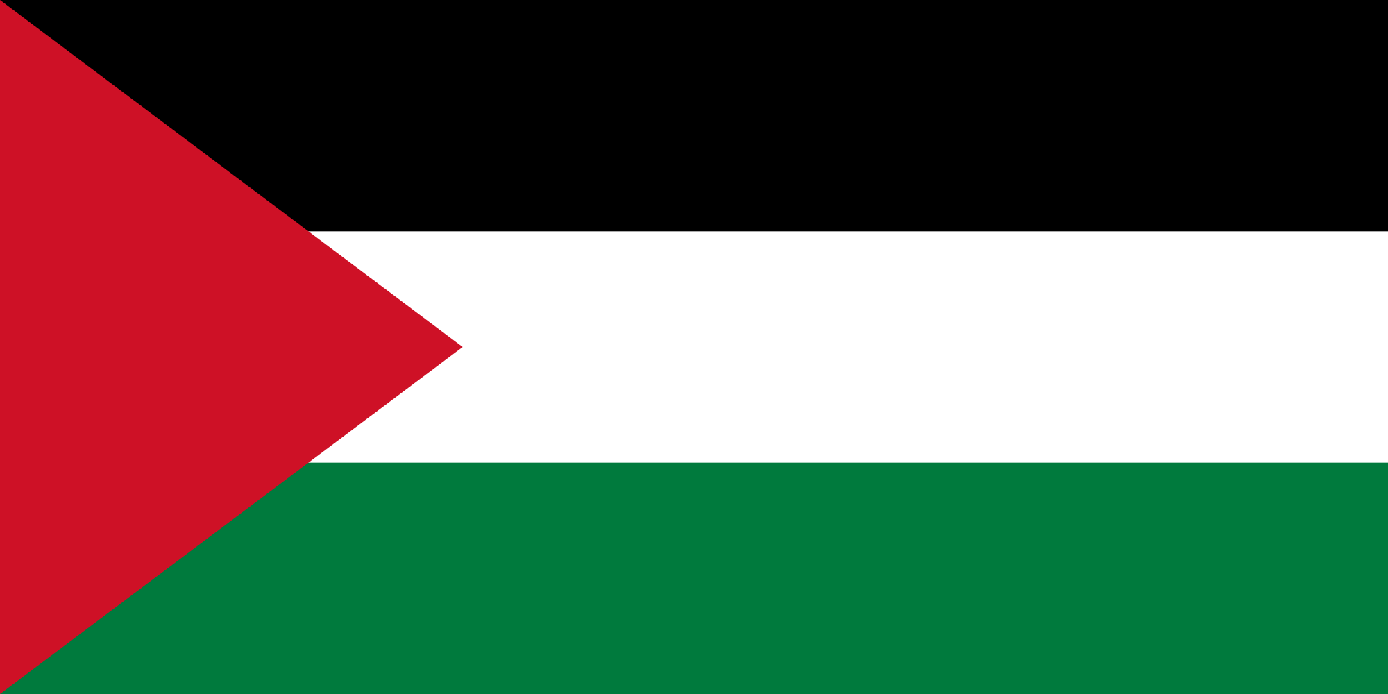 Flag Of Palestine - HD Wallpaper 