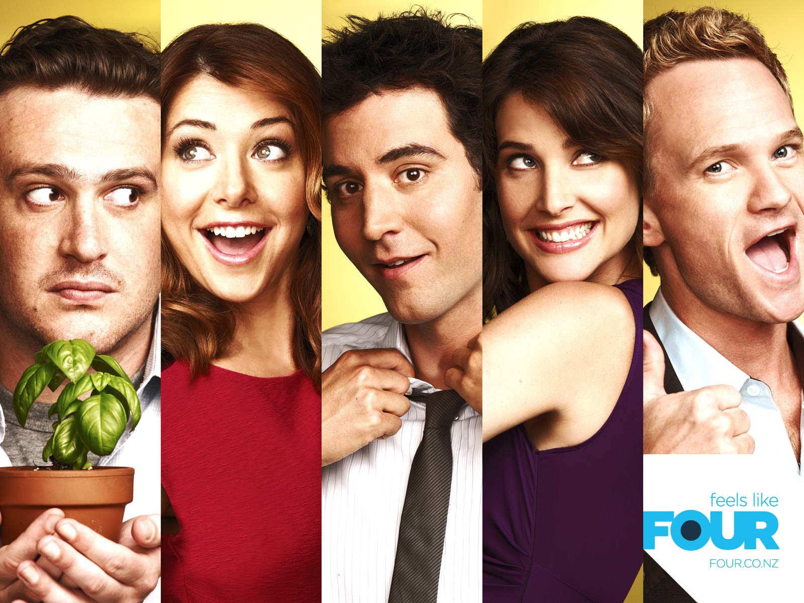 Met Your Mother Season 8 - HD Wallpaper 