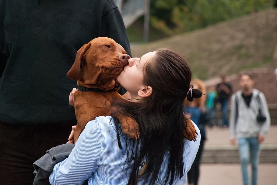 Personas Y Animales Felices - HD Wallpaper 