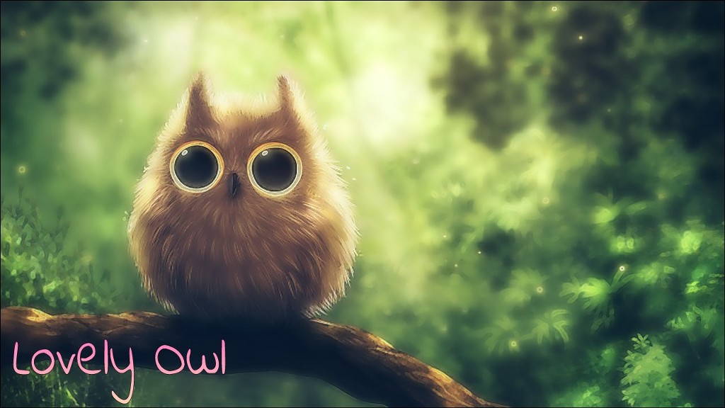 Lovely Owl - Funny Owl Wallpaper Hd - HD Wallpaper 