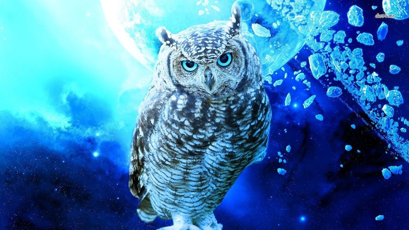 Art Owl - HD Wallpaper 