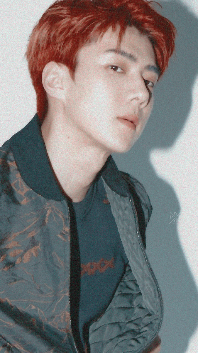 Simple
like/reblog - Sehun Arena - HD Wallpaper 