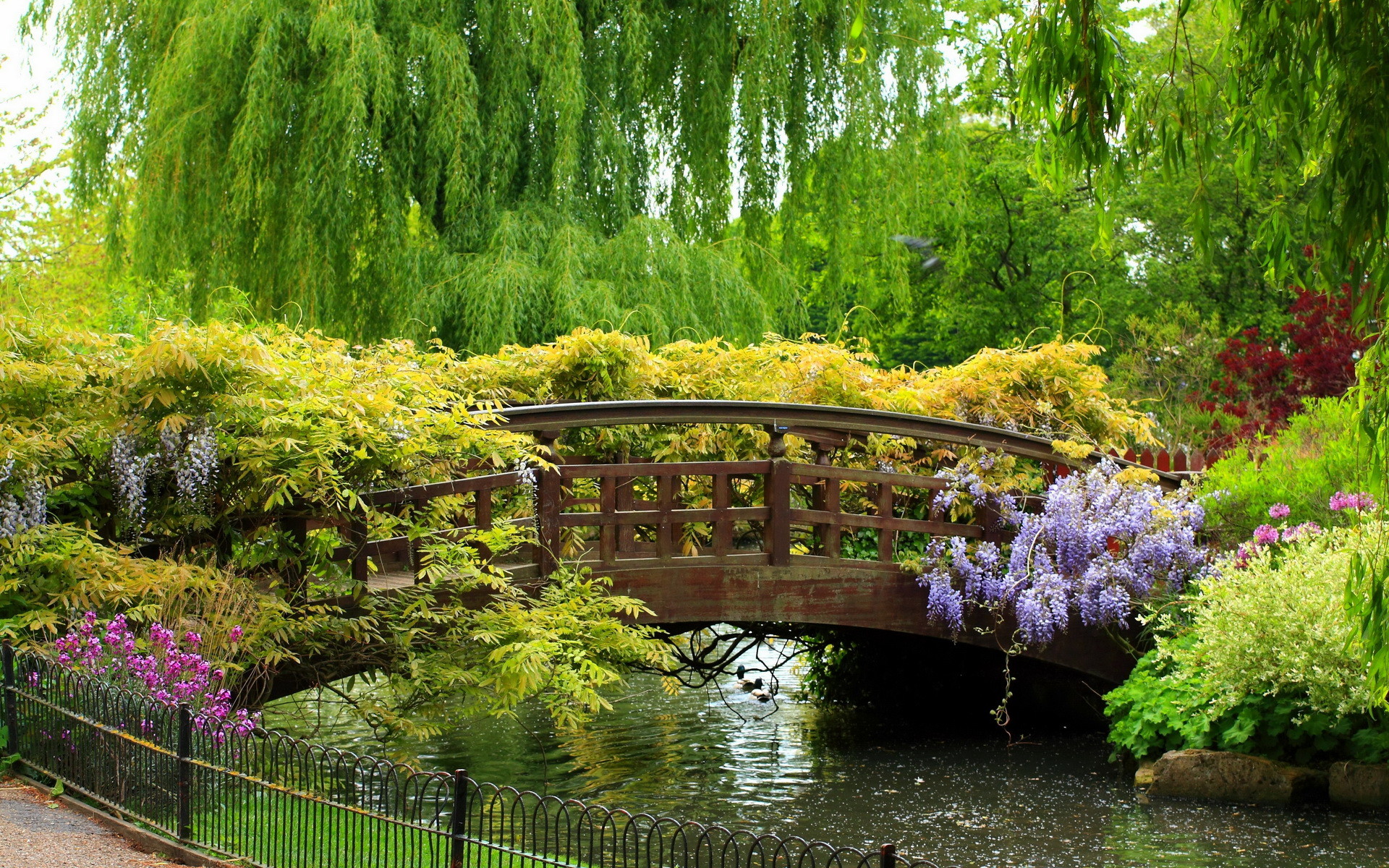 Beautiful Garden Photos Hd Pictures Images Live Wallpaper - Queen Mary Rose Garden - HD Wallpaper 