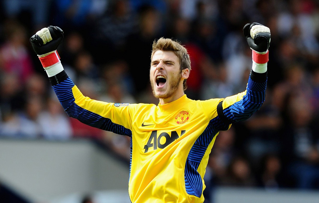 Photo Wallpaper Joy, Goalkeeper, Manchester United, - Latest News For Man United Fc Now - HD Wallpaper 