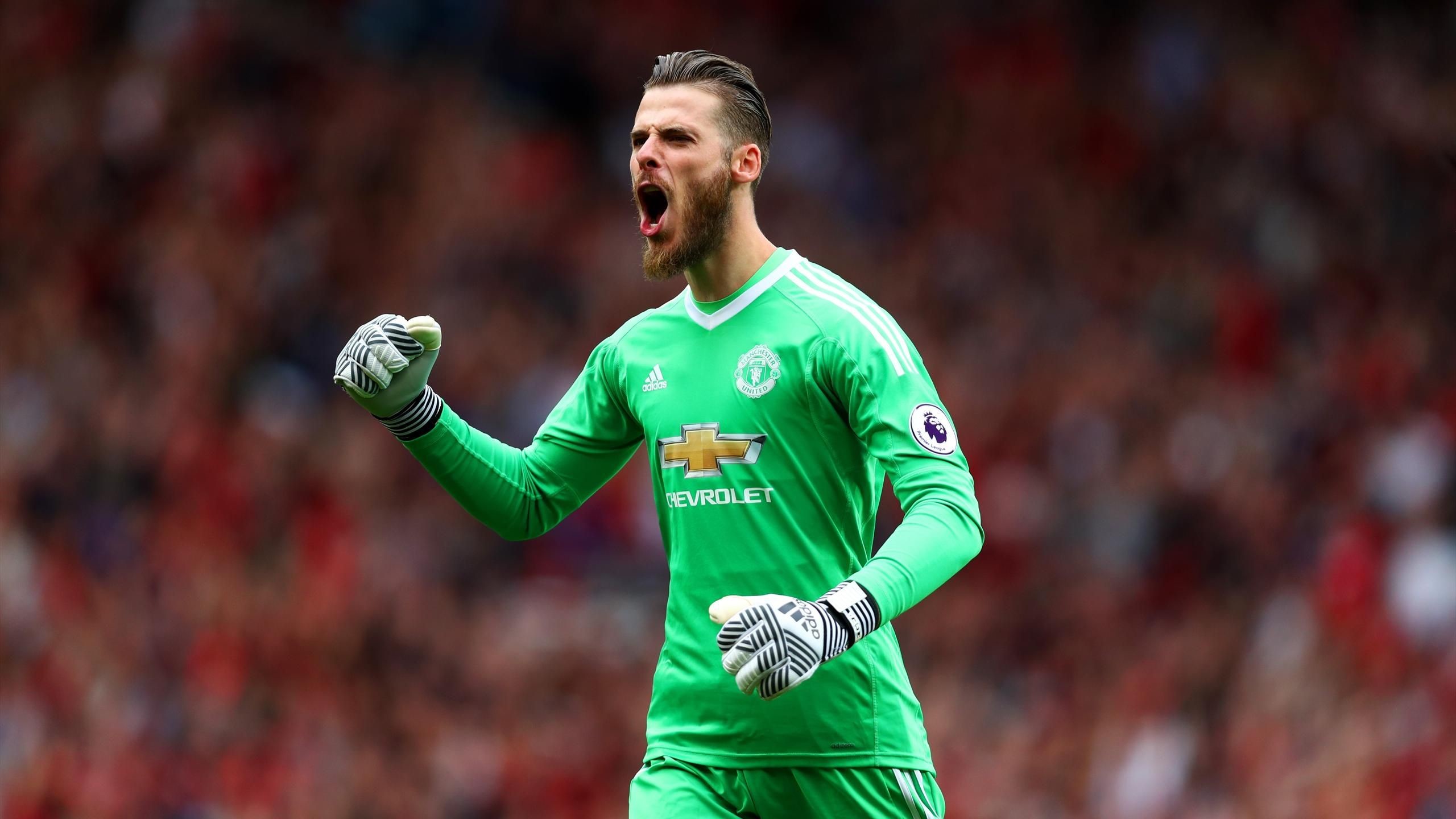 David De Gea Wallpapers Hd-wallpaper - De Gea 2017 2018 - HD Wallpaper 