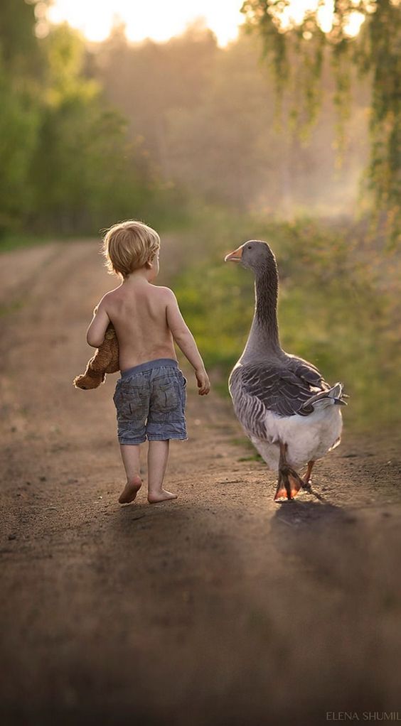 Boy Walking With Goose - HD Wallpaper 