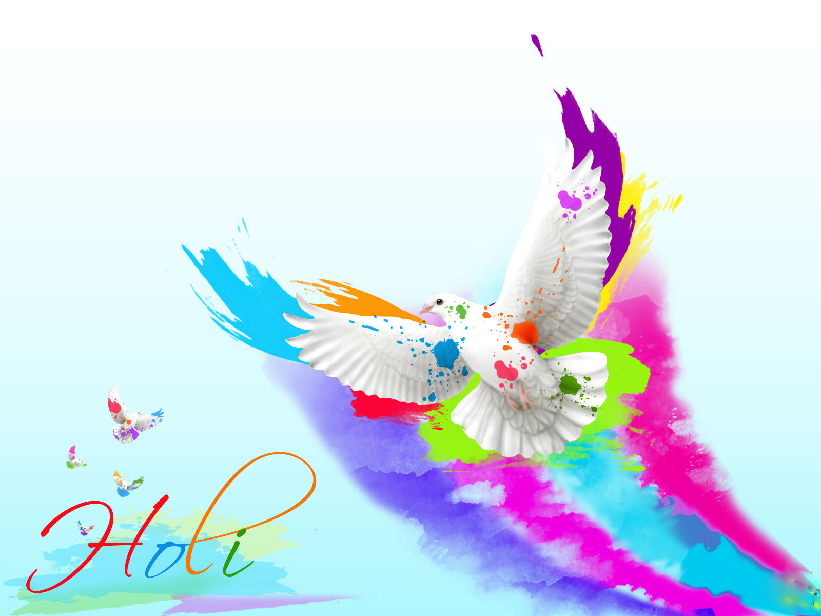 Happy Holi Colorful Pigeon Wallpaper - Happy Holi Hd - HD Wallpaper 