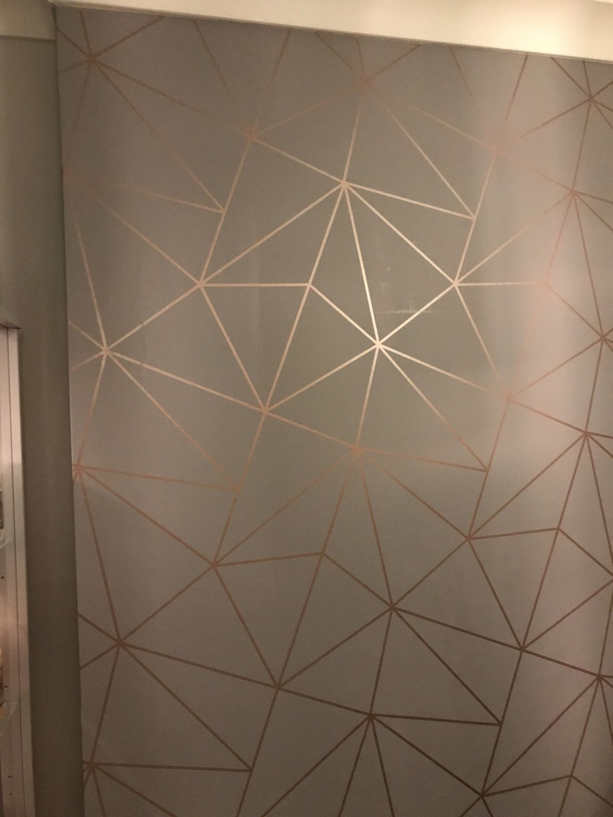 Metallic Wallpaper
as Seen In Photo
1 Roll
£15 Half - Ceiling - HD Wallpaper 