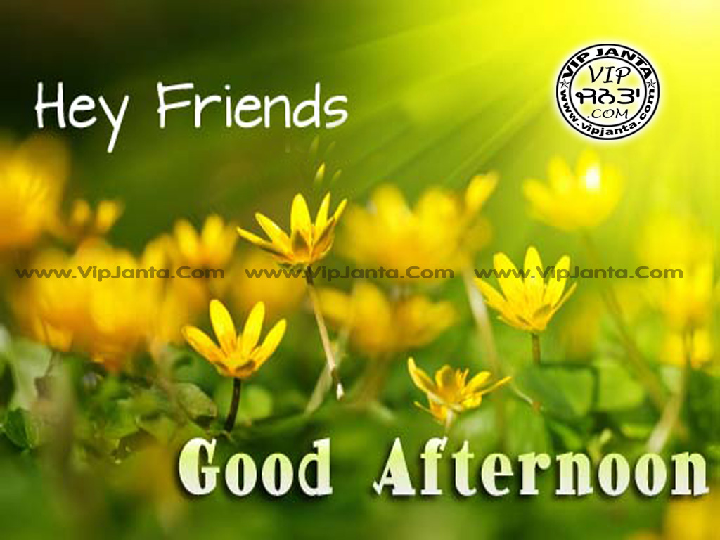 Good Afternoon My Friends Hd - HD Wallpaper 