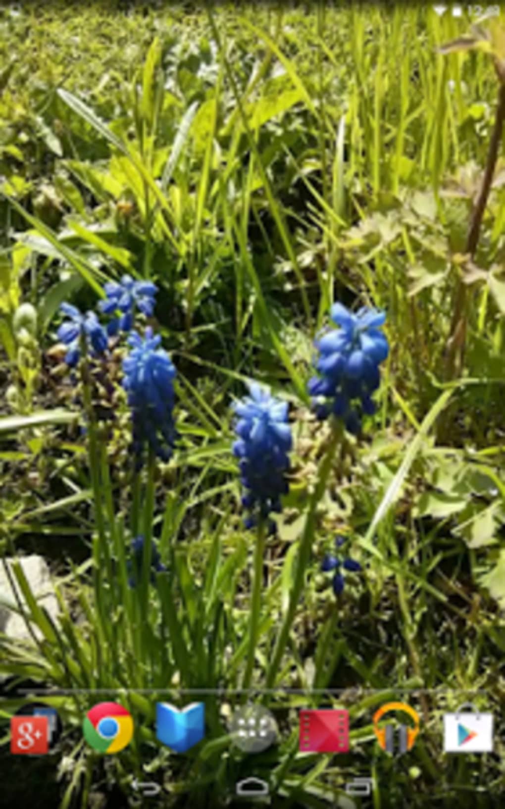 Depth Photo 3d Live Wallpaper - Wallpaper - HD Wallpaper 