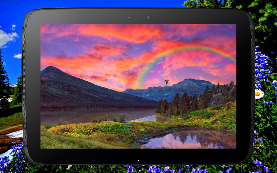 Wallpaper - HD Wallpaper 