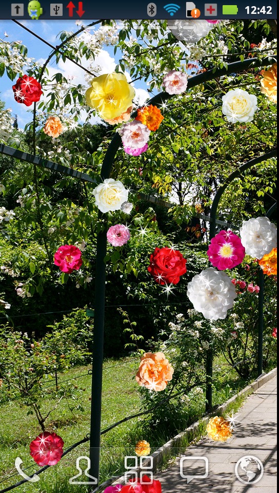 Garden Roses - HD Wallpaper 