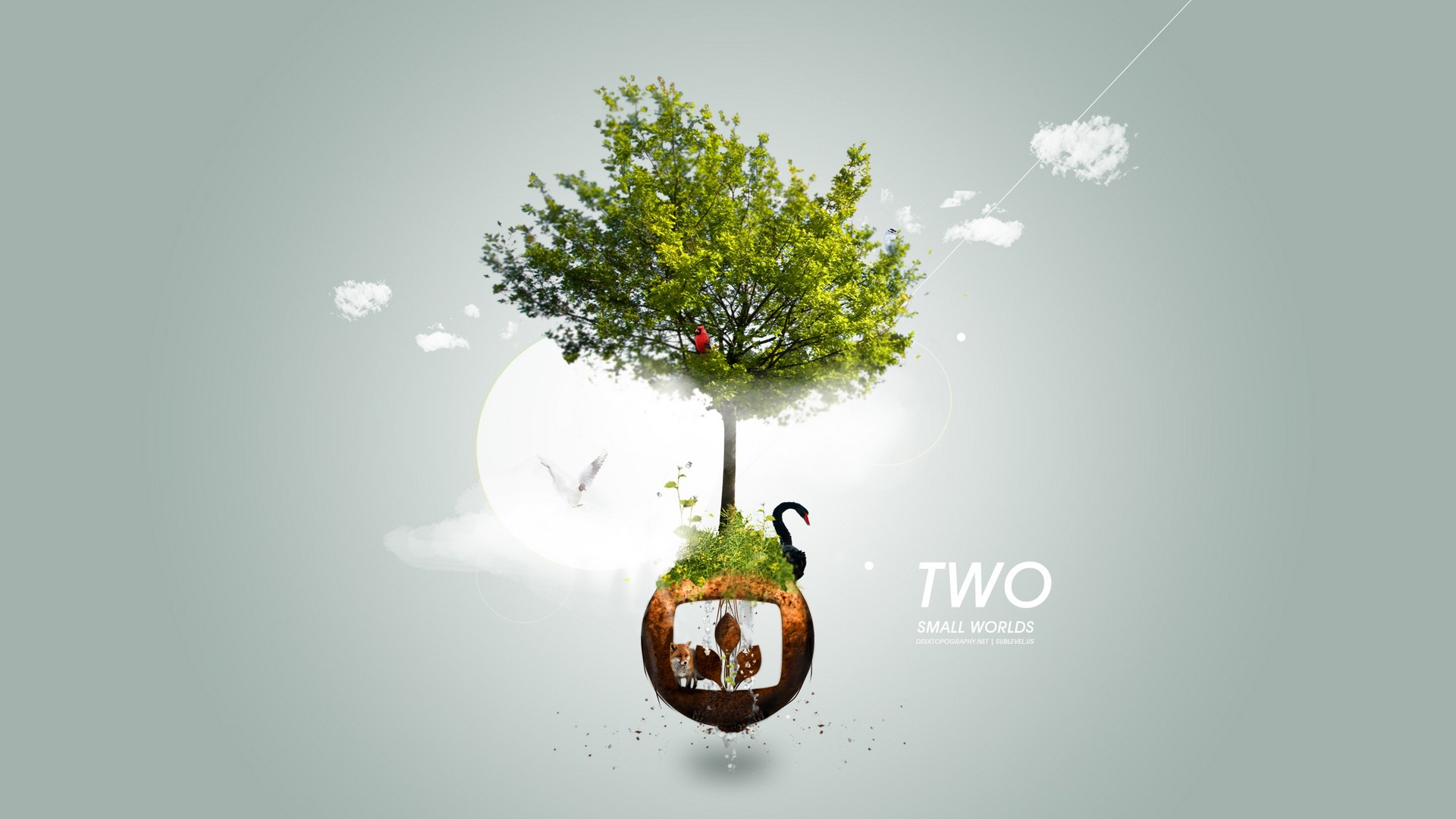 Creative Concepts With Plant - HD Wallpaper 