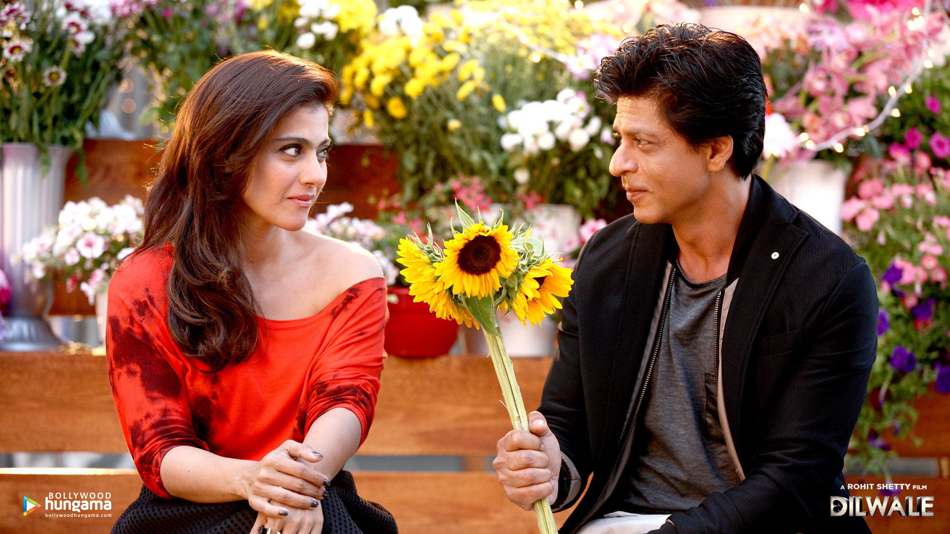 Dilwale - New Year Shayari Girlfriend - HD Wallpaper 