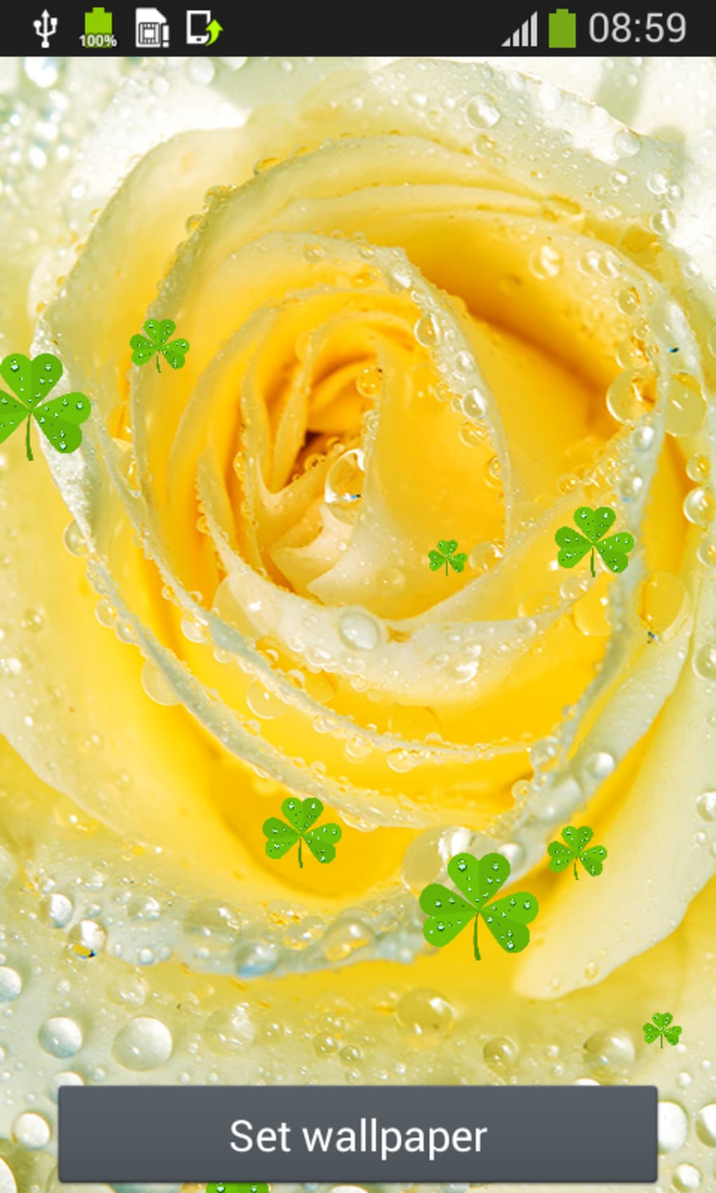 Rain Drops Live Wallpapers - Wallpaper - HD Wallpaper 