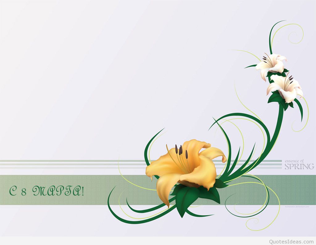 Womens Day Wallpaper - Happy Women's Day Quote Hd - HD Wallpaper 