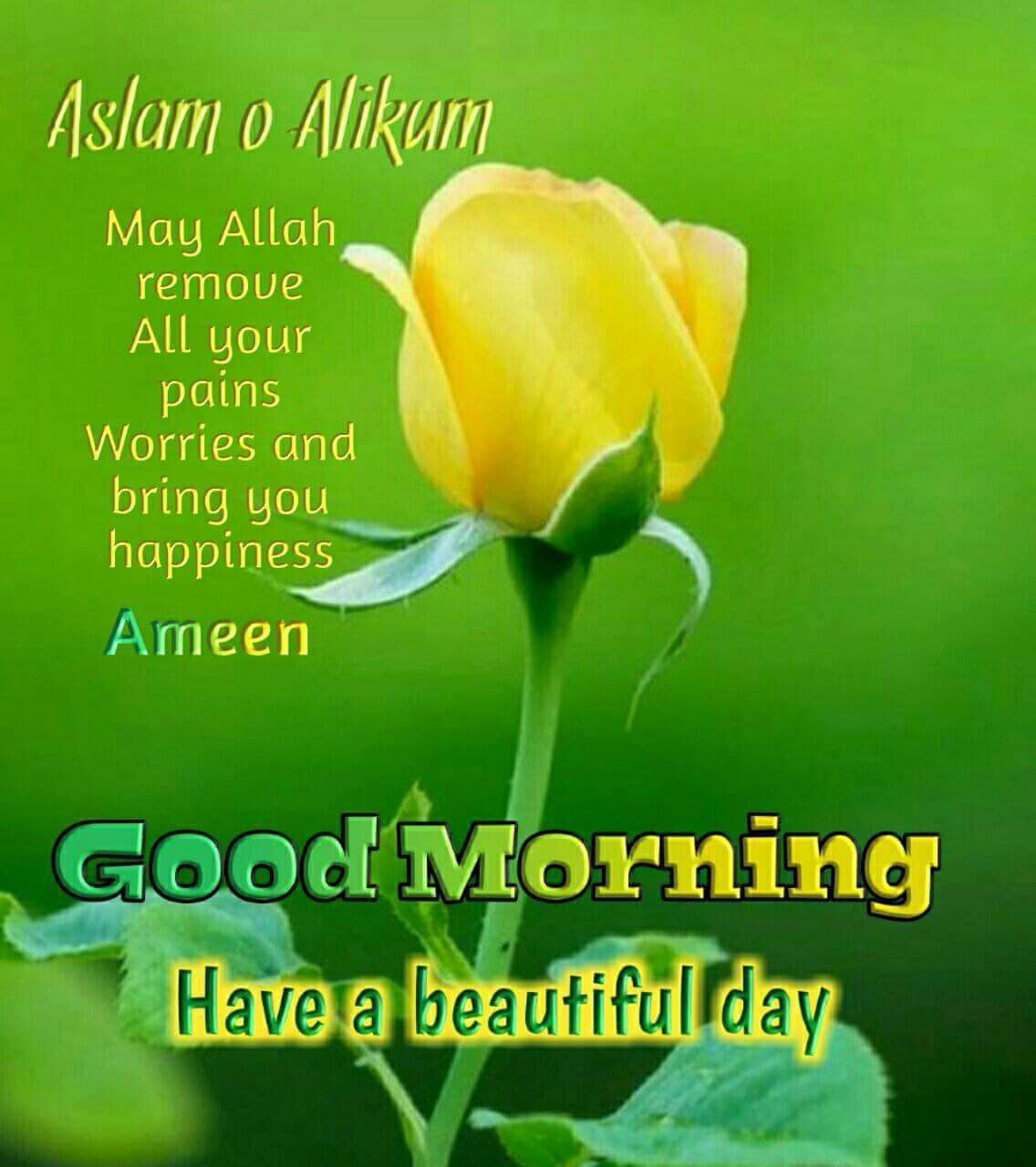 Assalamu Alaikum Wallpaper - HD Wallpaper 