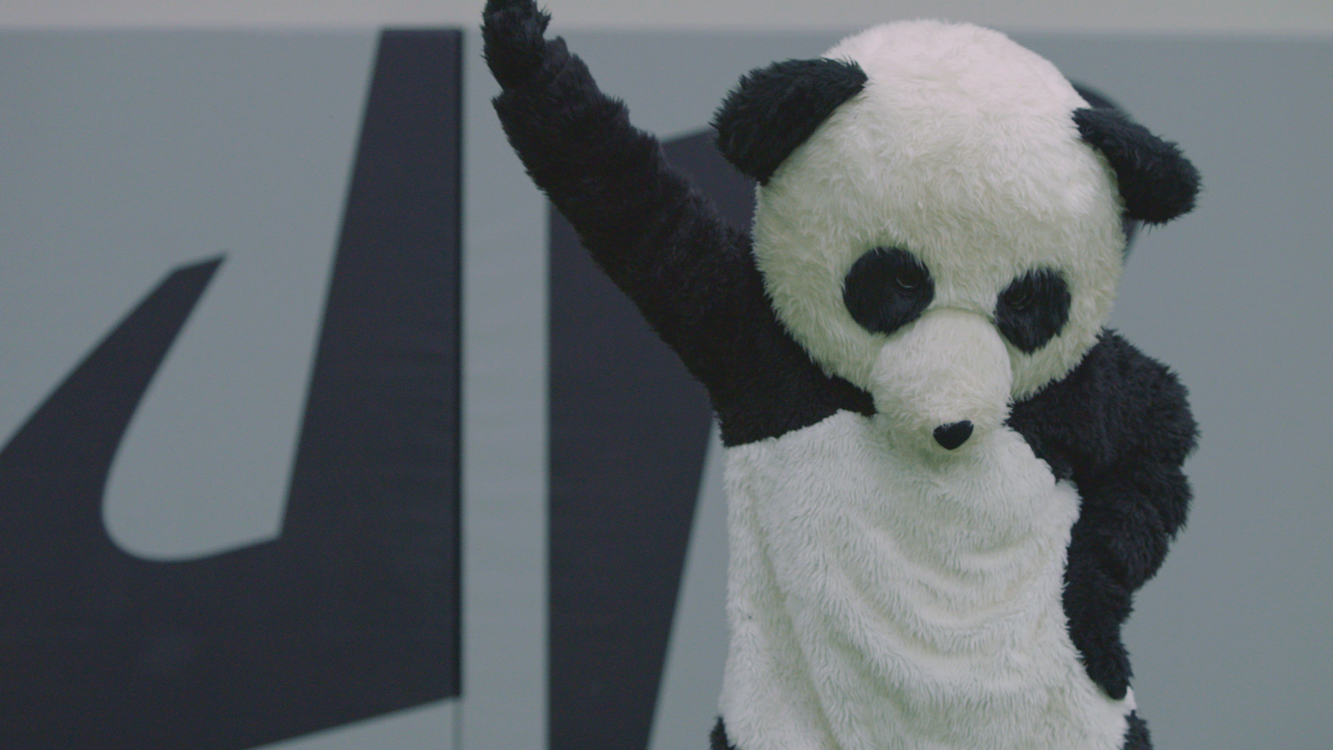 Танцующая панда видео. Танцующая Панда. Панда танцует. Танцующие панды. Панда gif.