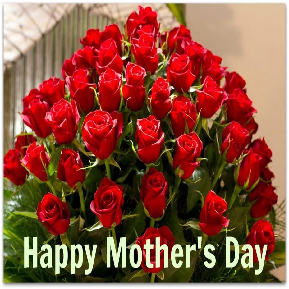Rose Day Wallpaper - HD Wallpaper 