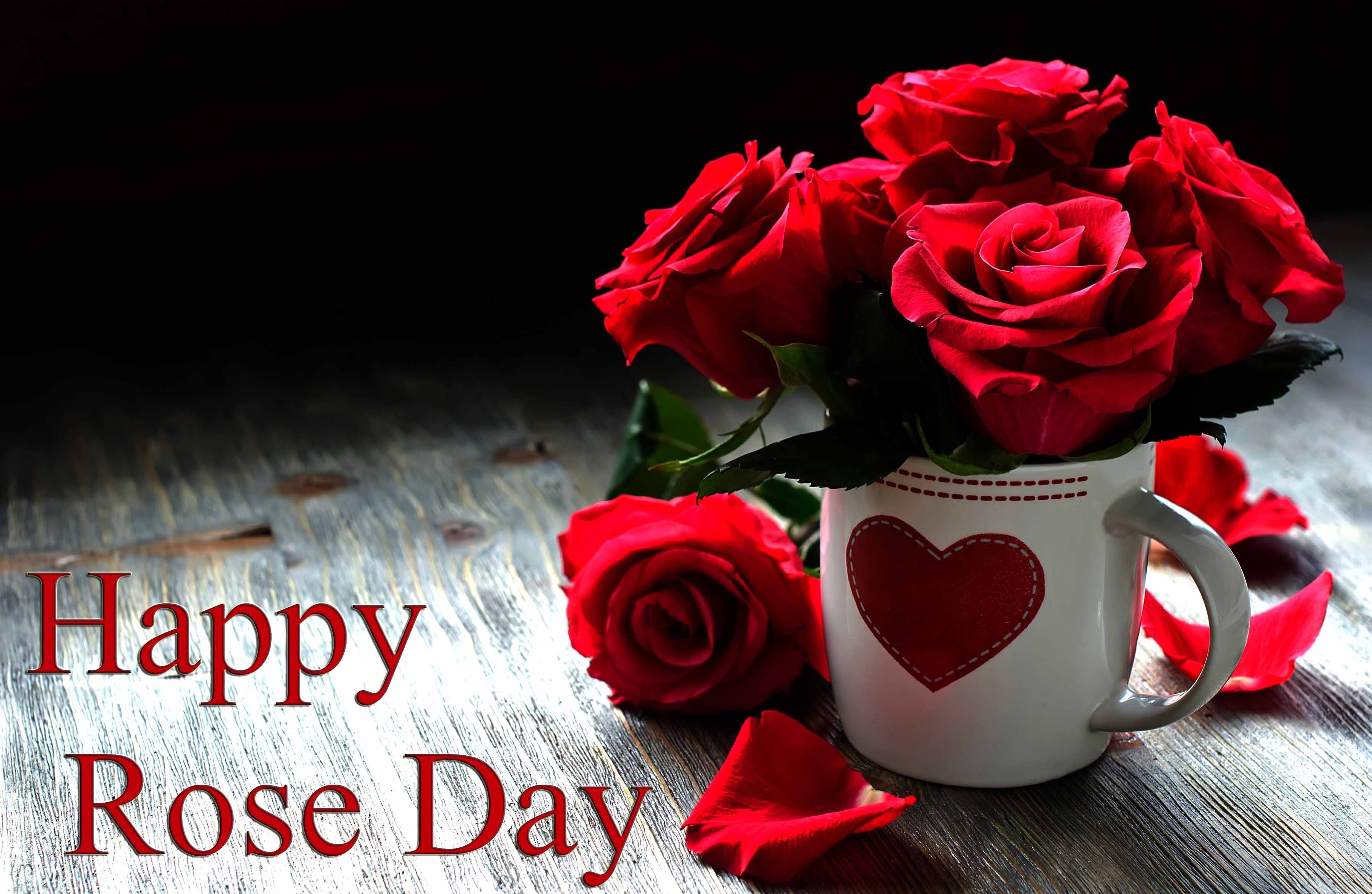 Rose Day Wishes For Friends - HD Wallpaper 