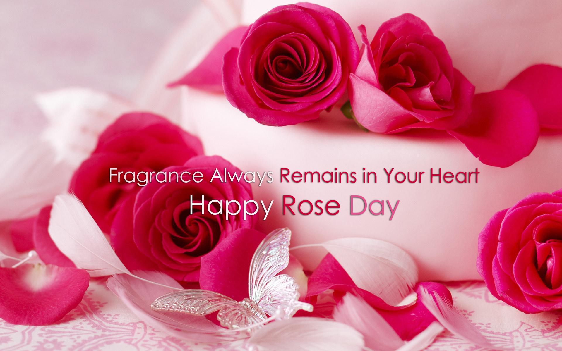 Romantic Good Morning Flower - HD Wallpaper 