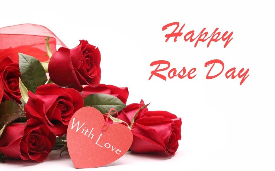 Happy Rose Day Wallpaper - HD Wallpaper 