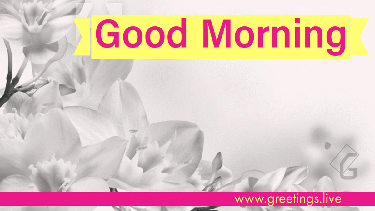 Good Morning Gif Wallpaper - HD Wallpaper 