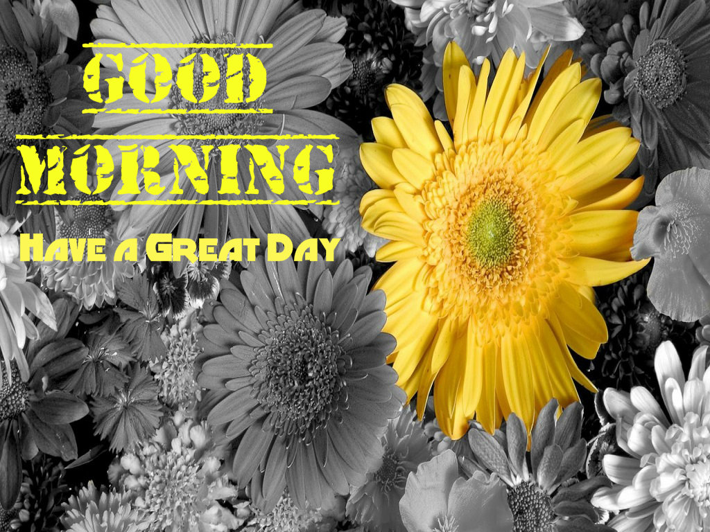 Good Morning Super Flowers - HD Wallpaper 
