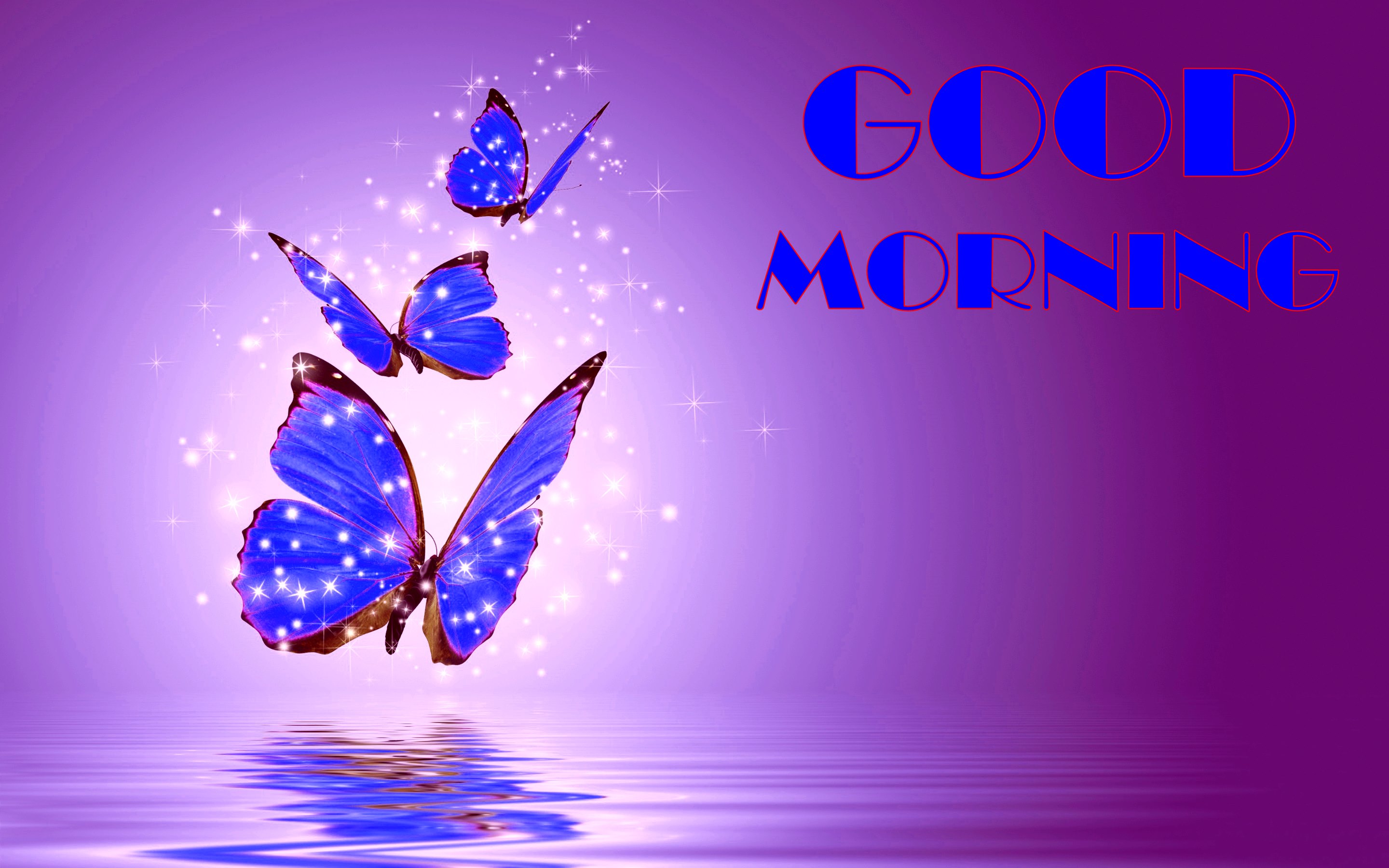 3d Good Morning Images Hd - HD Wallpaper 