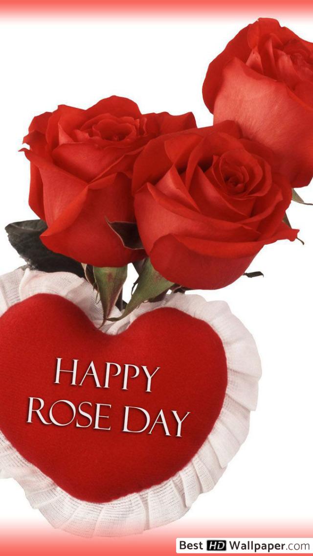 Beautiful Happy Rose Day - HD Wallpaper 