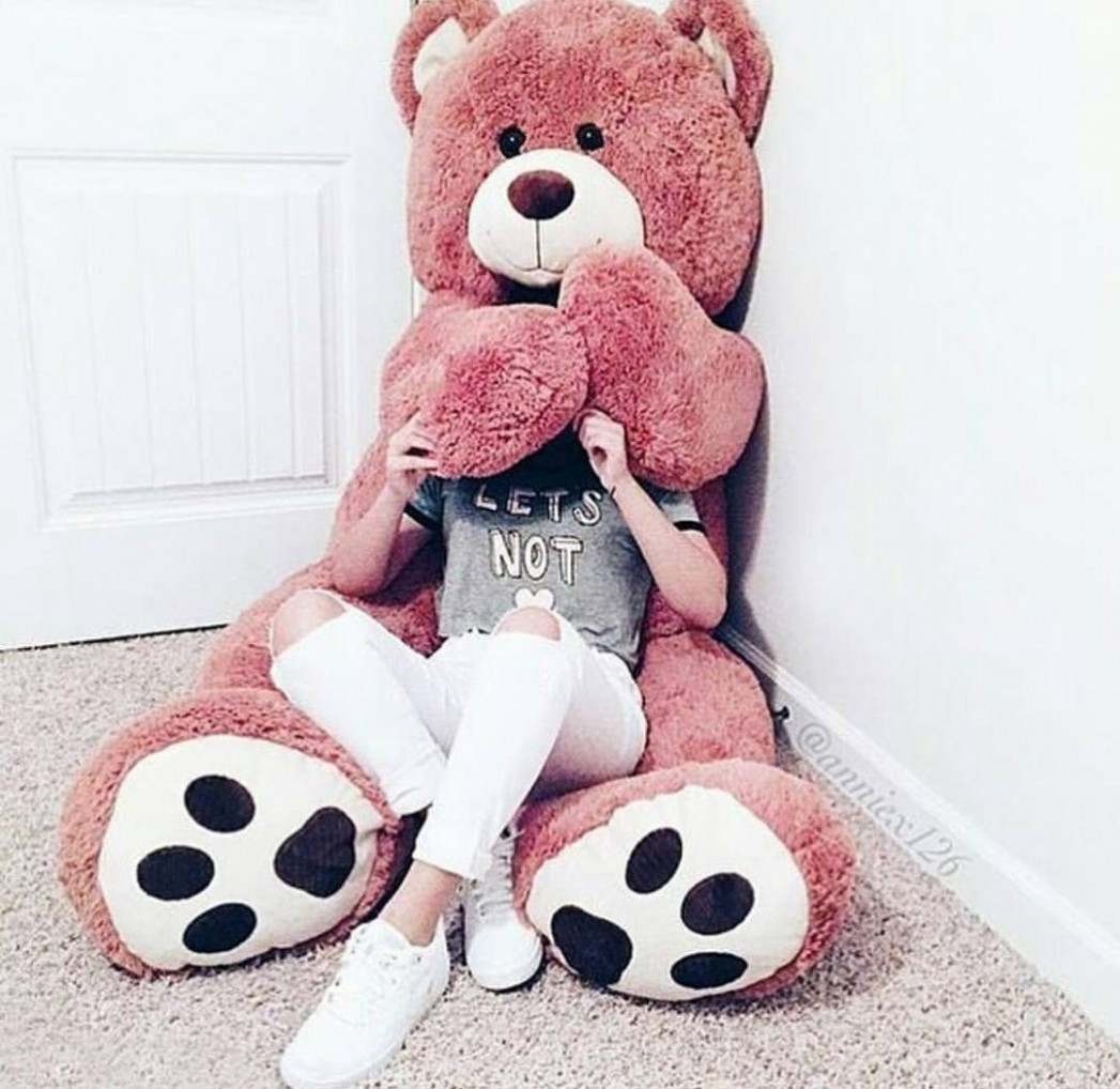 Bambidkar Images Whatsapp Profile Pic For Girls Hd - Instagram Teddy Bear With Girl - HD Wallpaper 