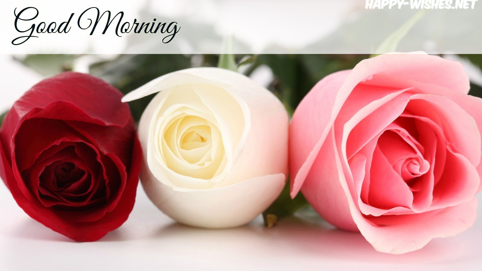 Awesome Good Morning - Rose With Good Morning - HD Wallpaper 