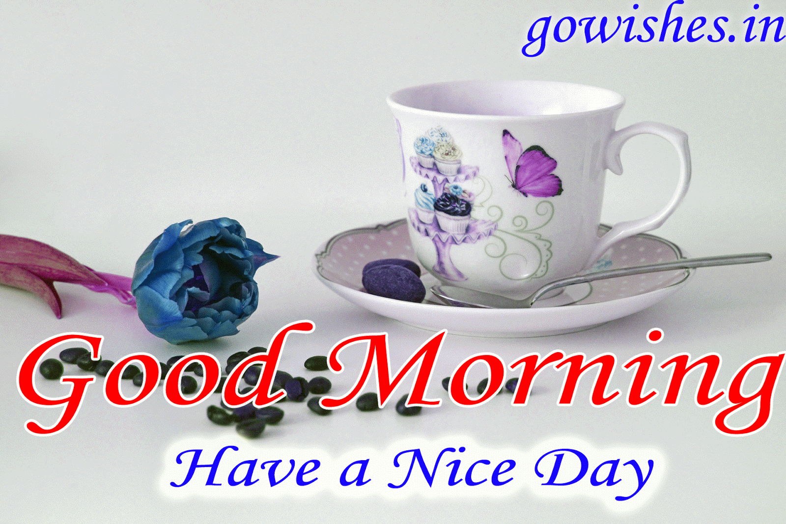 Good Morning Saturday Hd 1600x1067 Wallpaper Teahub Io