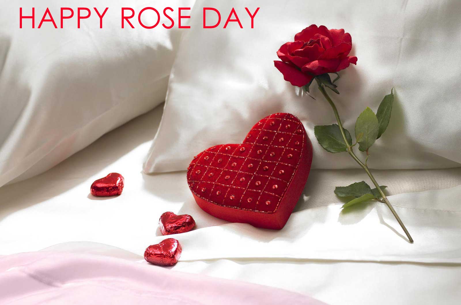 Happy Rose Day Wallpaper - Happy Rose Day 2018 - HD Wallpaper 