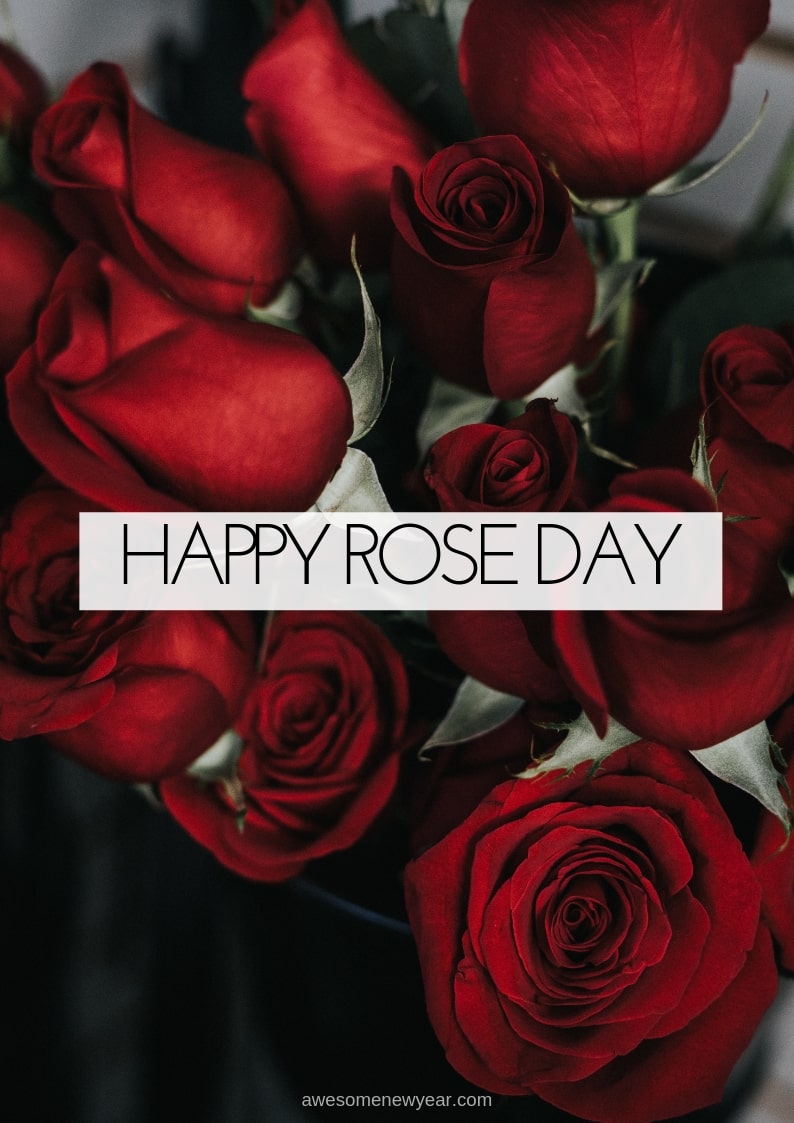 Rose Day Images - Happy Rose Day - 794x1123 Wallpaper 