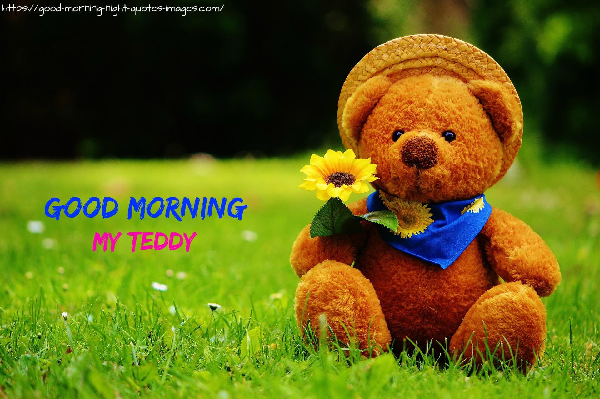 Good Morning Teddy Bear Images - Happy Birthday Dear Neighbour - HD Wallpaper 