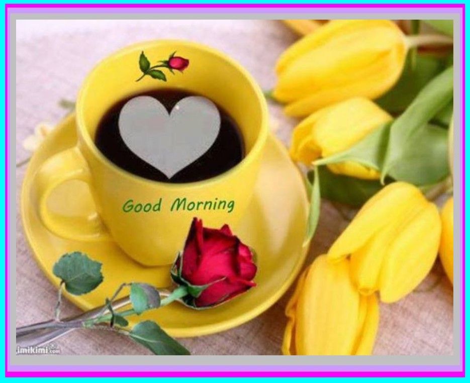 Good Morning Wale Wallpaper 935x762 Wallpaper teahub.io