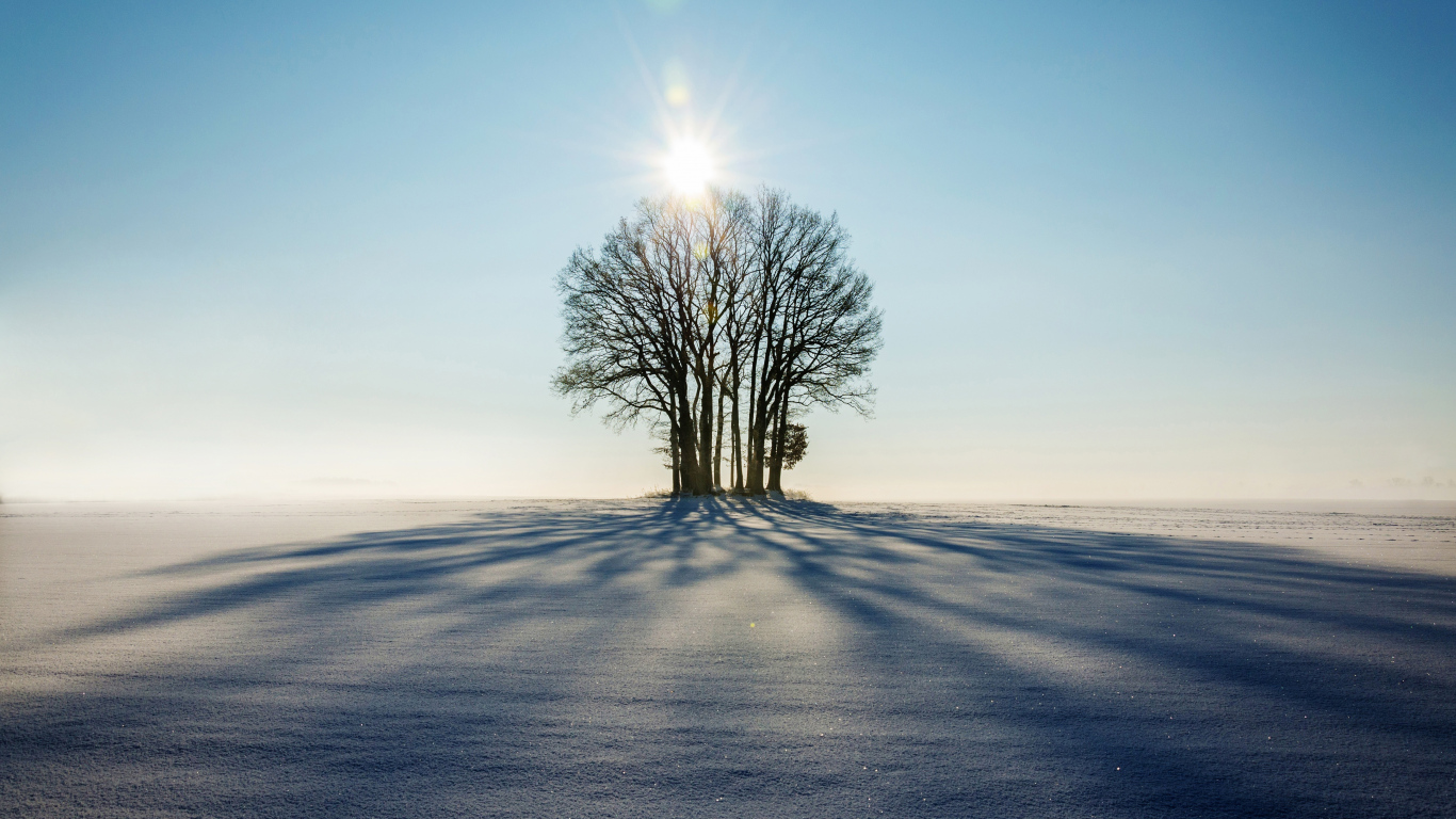 Good Morning 3d Nature Images - السبعه الذين يظلهم الله في ظله - HD Wallpaper 