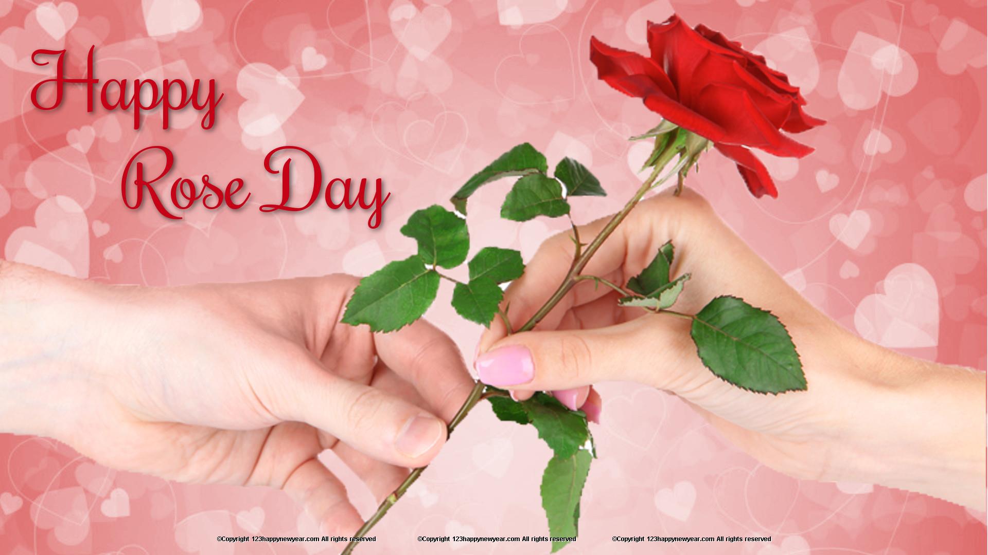 Rose Images With Hand Png - HD Wallpaper 